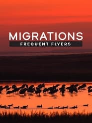 Migrations: Frequent Flyers (2020)