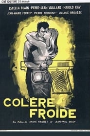 Poster Colère froide