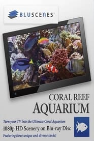 Poster BluScenes: Coral Reef Aquarium