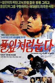 Poster 풀잎처럼 눕다