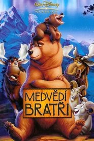 Medvědí bratři