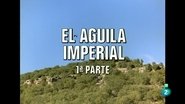 Episode 62