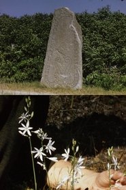 Øland og Gotland