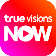TrueVisions NOW