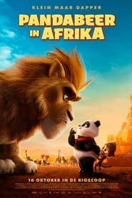 Pandabeer in Afrika) Pandabeer in Afrika (2024)