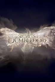 Fantastic Beasts: The Secrets of Dumbledore (2022)