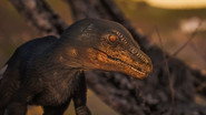 Andy and the Velociraptor
