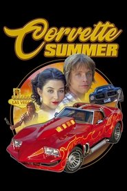 Poster Corvette Summer 1978