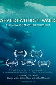 Whales Without Walls (2020)