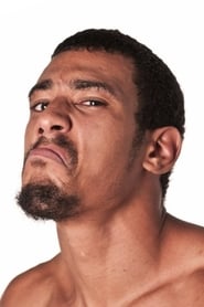 Image AR Fox