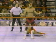 April 16, 1988 - Superstars of Wrestling 85