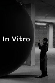 In Vitro