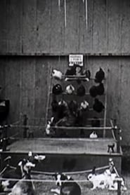 The Knockout (1923)