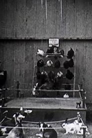Poster The Knockout 1923