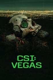 Poster CSI: Vegas - Season 2 Episode 1 : She's Gone 2024
