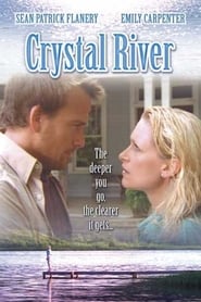 Poster Crystal River 2008