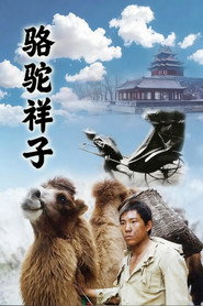 MongoDB.Entities.FuzzyString