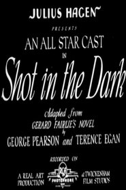 Poster A Shot in the Dark 1933