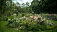 Descanso Gardens