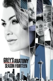 Grey’s Anatomy: Season 14