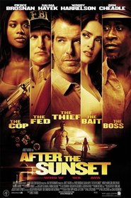 After the Sunset – Το τελευταίο κόλπο (2004) online ελληνικοί υπότιτλοι