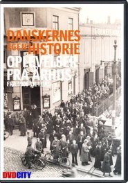 Poster Danskernes egen historie - Oplevelser fra Århus 2004