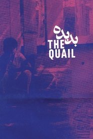 Poster The Quail: The Tale of a Boy Who Asks 1970