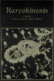 Karyokinesis (2024)
