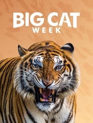 Big Cat Diary poster