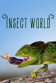 Insect World (2017)
