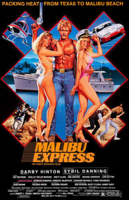 Malibu Express постер