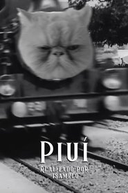 Poster Piuí 2020