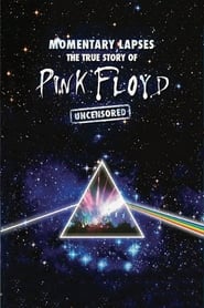 Poster Pink Floyd: Momentary Lapses - The True Story of Pink Floyd