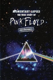 Poster Pink Floyd: Momentary Lapses - The True Story of Pink Floyd 2010