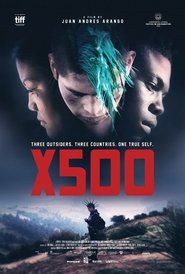 X500 постер