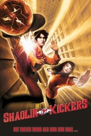 Poster Shaolin Kickers