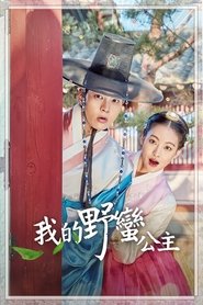 我的野蛮女友