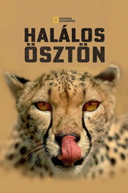 Deadly Instincts постер
