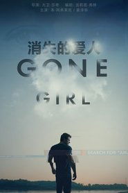 消失的爱人 (2014)