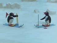 Pingu the Cross Country Skier