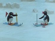 Pingu the Cross Country Skier