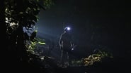 The Dark: Nature's Nighttime World en streaming