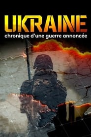 Euromaidan - Chronik eines angekündigten Krieges