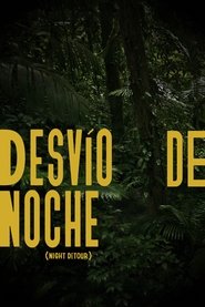 Desvío de noche