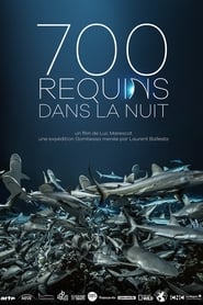 700 requins dans la nuit