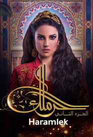 The Harem poster