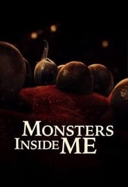 Monsters Inside Me poster