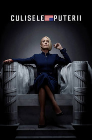 Culisele puterii (2013)