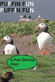 Puffin Fun (2024)