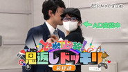 Afsnit 13